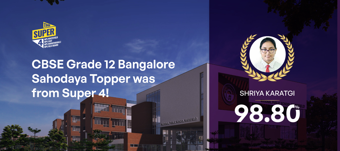 Schools in whitefield